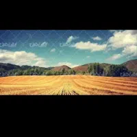 زمین-سعادتی
