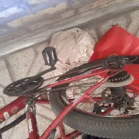 دوچرخه ۲۴|دوچرخه، اسکیت، اسکوتر|کاخک, |دیوار