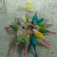 راهنمایی و کمک