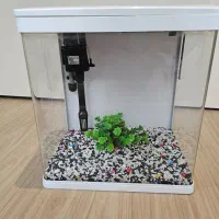 آکواریوم دلسا