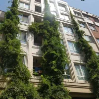 پلان تفکیکی/سالن پرده خور سرتاسری/آفتابگیر