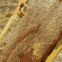 درجە یک|آرایشی، بهداشتی، درمانی|بانه, |دیوار