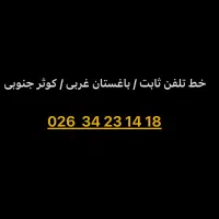 خط تلفن ثابت / باغستان غربی