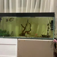 آکواریوم 150*70*35