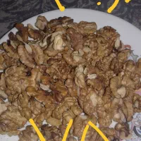 تویسرکان مغز گردو|حراج|قم, چهل درخت‎|دیوار