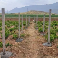 دونفر کارگر یا نیروی کار جهت تولید پایه فنس بتنی.|استخدام معماری، عمران و ساختمانی|اراک, |دیوار