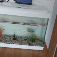 فروش آکواریوم با اکسیژن وسایلاش