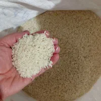 برنج ممان (میانه)