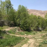 زمین-بلوار-نارنجستان-قاصدک-دوم