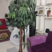 درختچه مصنوعی المانی