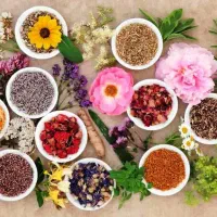 راهنمایی جهت گیاه درمانی