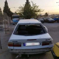 زانتیا تصادفی