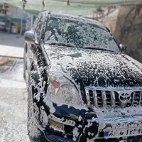 نیروی کارواش