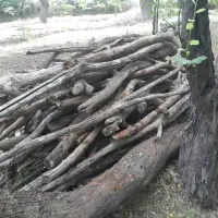 چوب ضایعاتی والوار توت ۳۰۰ساله|حراج|موچش, |دیوار