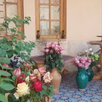 اقامتگاه سنتی/هتل/بوم گردی