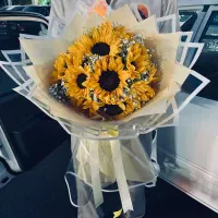 گل رز|گل و گیاه طبیعی|مشهد, کارده|دیوار