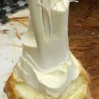 فروش پنیر نخل خرما به صورت عمده