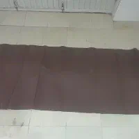 موکت|موکت|اردکان, |دیوار