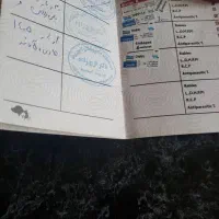 سگ سرابی|سگ|چابکسر, |دیوار