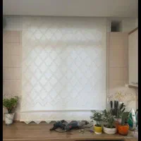 پرده زبرا و دومکانیزم