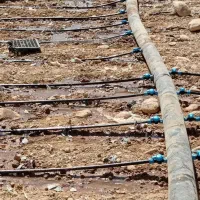 لوله کشی قطره ای کشاورزی|خدمات باغبانی و درختکاری|اندیمشک, |دیوار