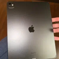 Ipad pro M4 13 inch wifi + cellular gray 256 GB