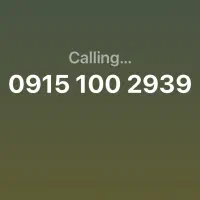 0915.100.2939
