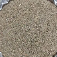 بذر جعفری|گل و گیاه طبیعی|نیشابور, فضل|دیوار