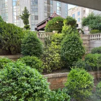 ویلایی ، تریپلکس ، استخر دار