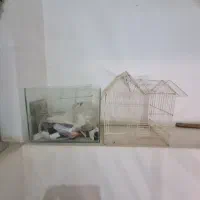 آکواریوم و قفس