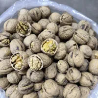 گردومحلی تازه|خوردنی و آشامیدنی|اهواز, کمپلو جنوبی|دیوار