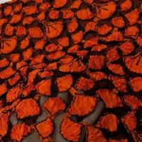 لباس های مجلسی زیبا|لباس|مهاباد (آذربایجان غربی), |دیوار