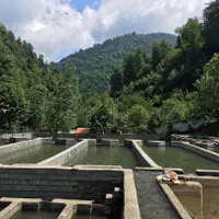 استخر پرورش ماهی قزل آلا با مجوز ۴۰ تنی