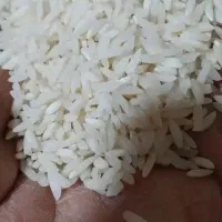 برنج دورود 250