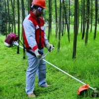 علف ‌زنی، هرس درخت و تمیزکاری محوطه ویلا