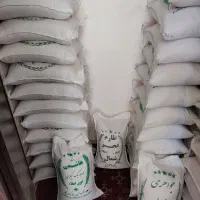 برنج هاشمی آستانه فجر