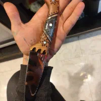 چاقوی قصابی فروش فوری|کوهنوردی و کمپینگ|تهران, پونک|دیوار