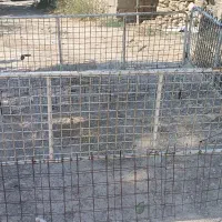 نیم طاق پیکان بار|قطعات یدکی و لوازم جانبی|پاتاوه, |دیوار