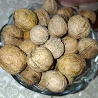 گردو|خوردنی و آشامیدنی|گرمسار, |دیوار