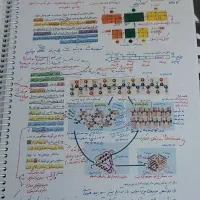 کتاب زیست دهم یازدهم دوازدهم|کتاب و مجله آموزشی|قم, شهرک امام حسین|دیوار