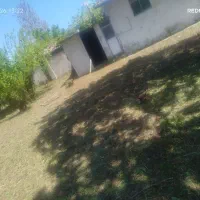 چمنزنی،و علف زن و لی زنی،،