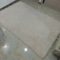 فرش شگی درجه یک|فرش|نوشهر, |دیوار