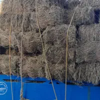 یونجه درجه یک در مورموری