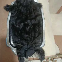 خیگ