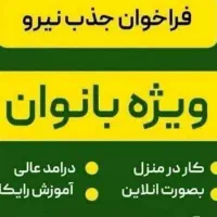 کار در منزل ویژه بانوان،با درآمد بالا