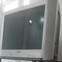 تلویزیون