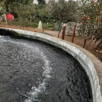 فروش ملک استخر ماهی|فروش دفتر صنعتی، کشاورزی، تجاری|تالش, هشتپر|دیوار