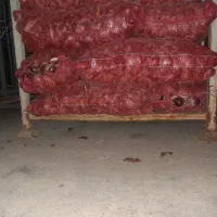 پیاز برای خوراک دام