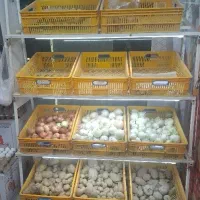 استند میوه چرخدار