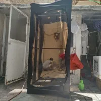 بوفه